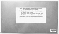 Blumeria graminis image